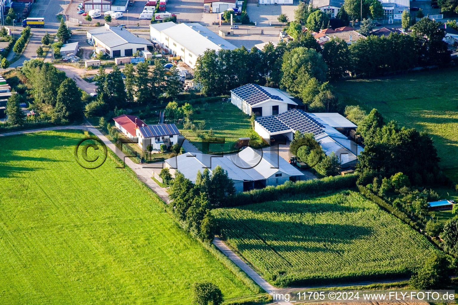 Vue oblique de Dans le Rötzwiesen, famille agricole Kerth à le quartier Minderslachen in Kandel dans le département Rhénanie-Palatinat, Allemagne