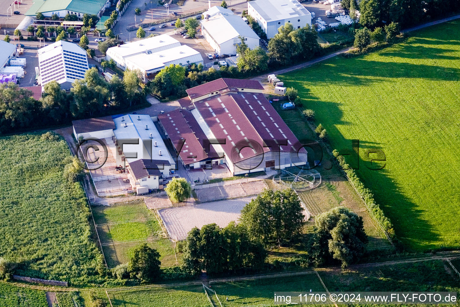 Vue aérienne de Ferme équestre à le quartier Minderslachen in Kandel dans le département Rhénanie-Palatinat, Allemagne