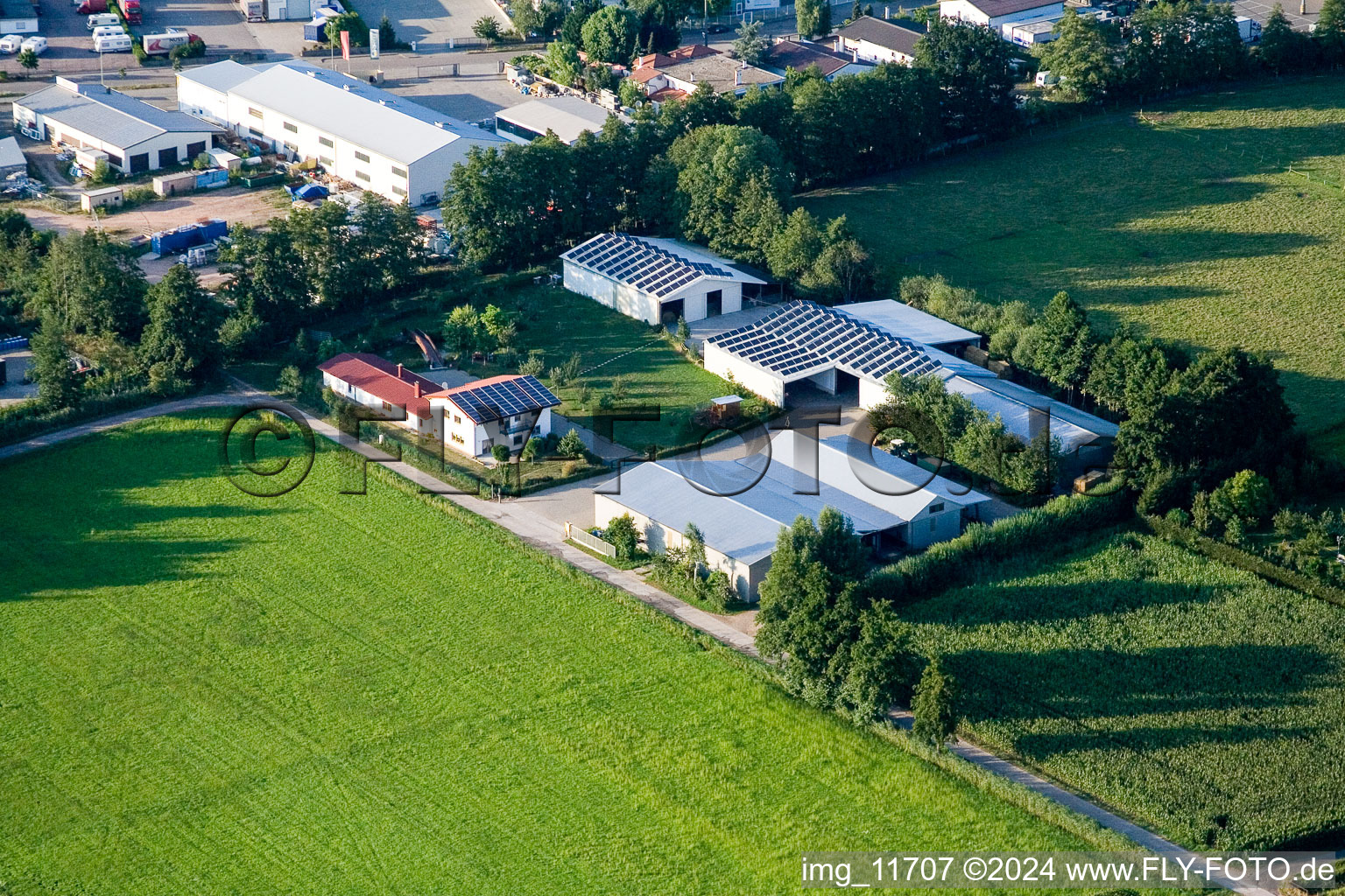 Dans le Rötzwiesen, famille agricole Kerth à le quartier Minderslachen in Kandel dans le département Rhénanie-Palatinat, Allemagne d'en haut