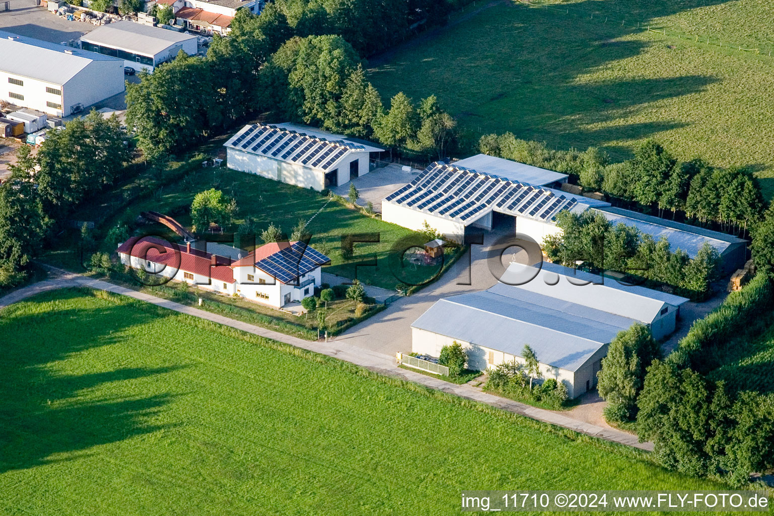 Dans le Rötzwiesen, famille agricole Kerth à le quartier Minderslachen in Kandel dans le département Rhénanie-Palatinat, Allemagne depuis l'avion