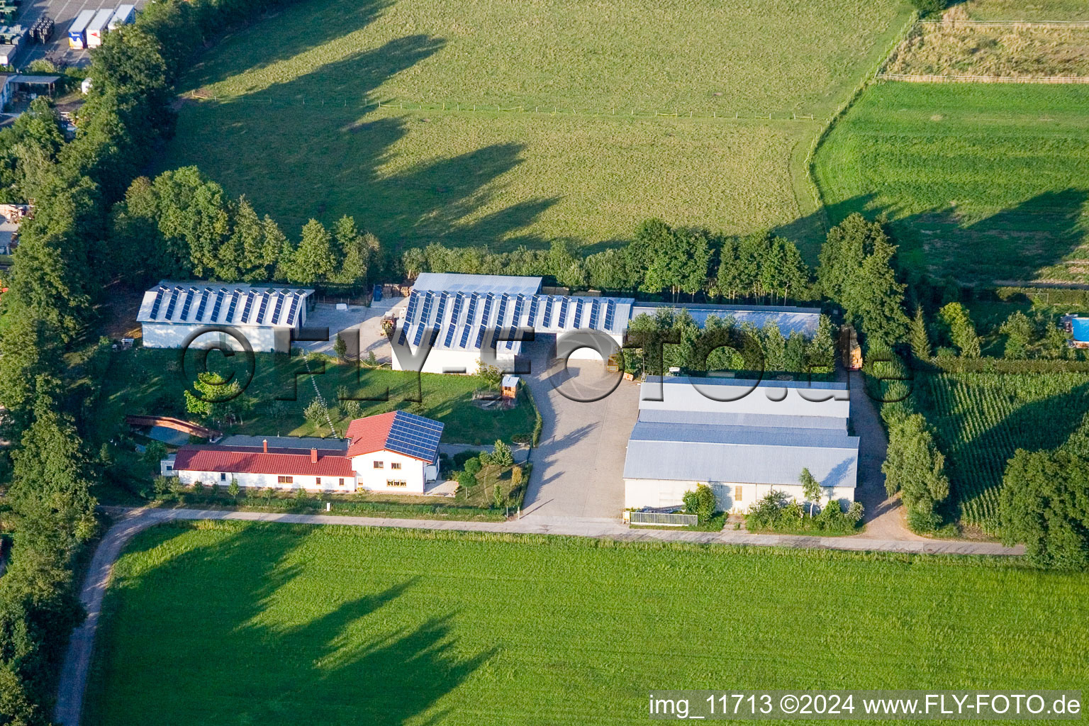 Enregistrement par drone de Dans le Rötzwiesen, famille agricole Kerth à le quartier Minderslachen in Kandel dans le département Rhénanie-Palatinat, Allemagne