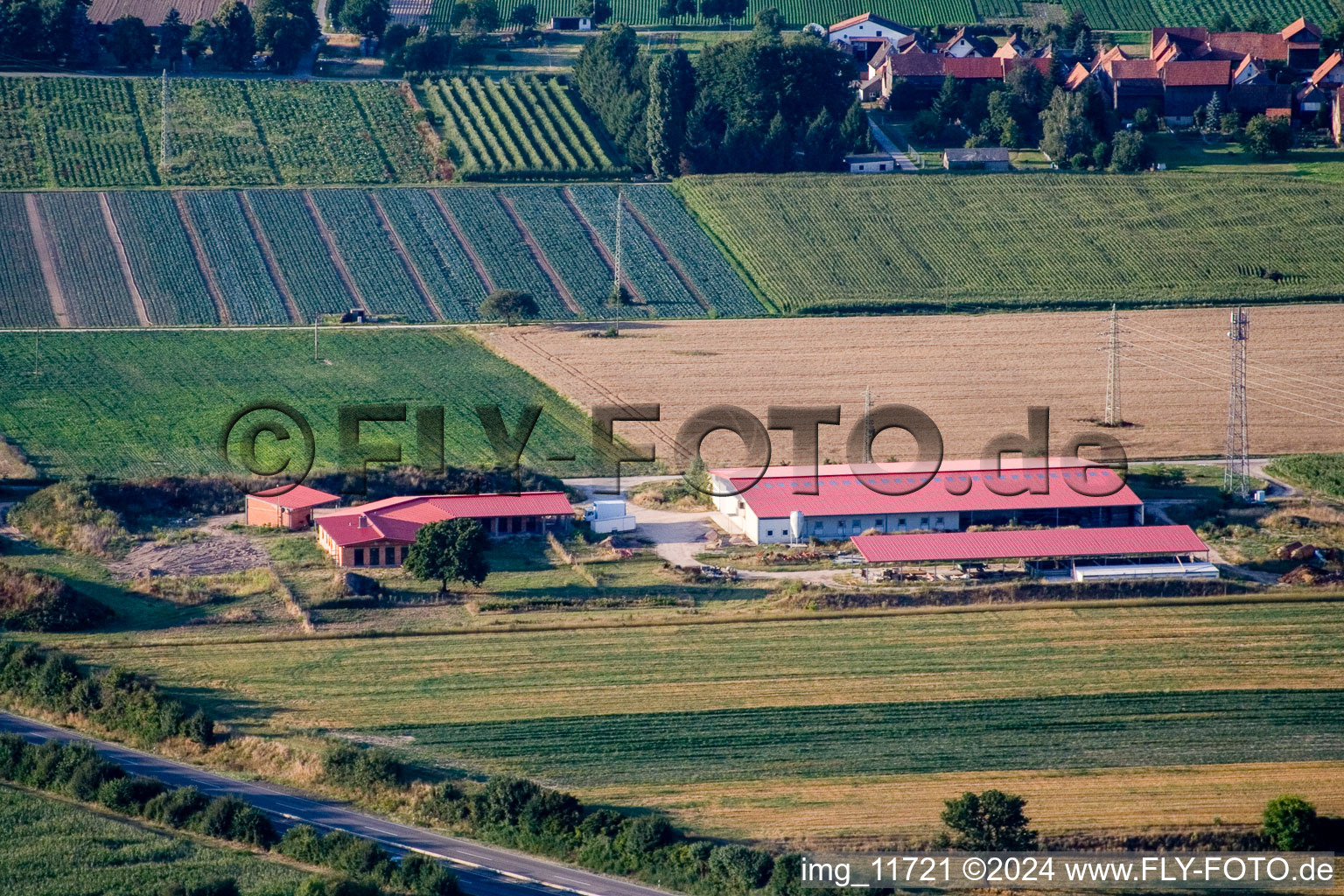 Vue aérienne de Ferme d'œufs de ferme de poulets à Erlenbach bei Kandel dans le département Rhénanie-Palatinat, Allemagne