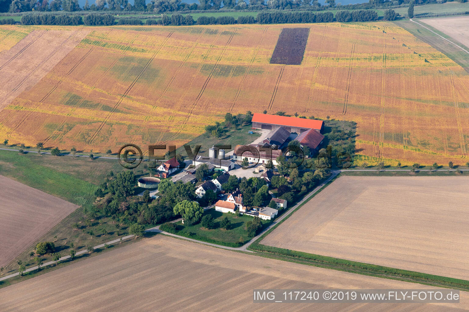 Image drone de Hockenheim dans le département Bade-Wurtemberg, Allemagne