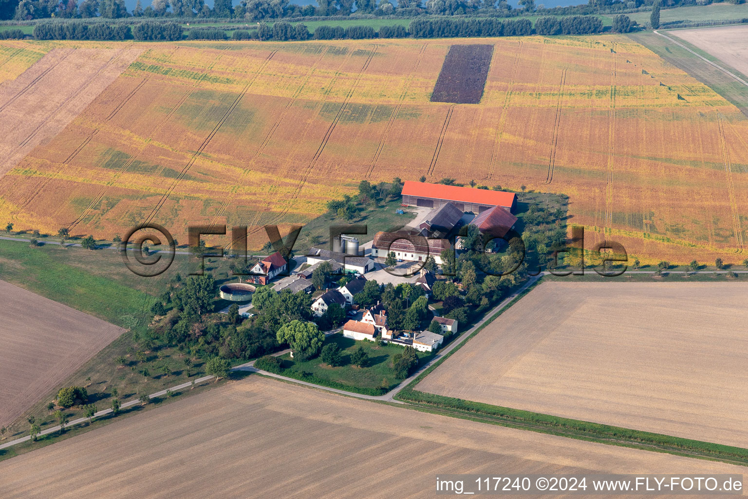 Image drone de Hockenheim dans le département Bade-Wurtemberg, Allemagne