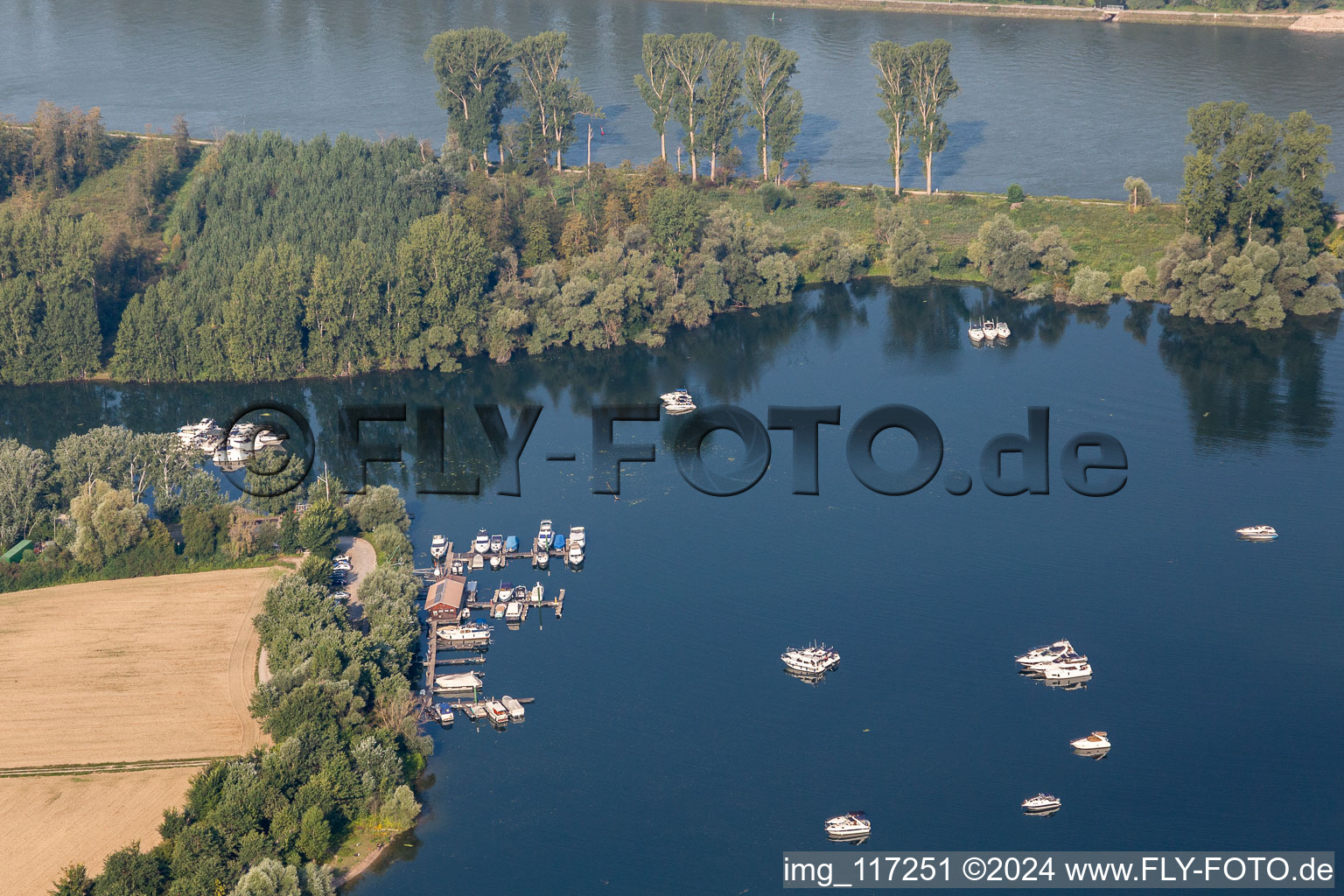 Vue aérienne de Marina sur l'île de Corse à le quartier Oberhausen in Oberhausen-Rheinhausen dans le département Bade-Wurtemberg, Allemagne