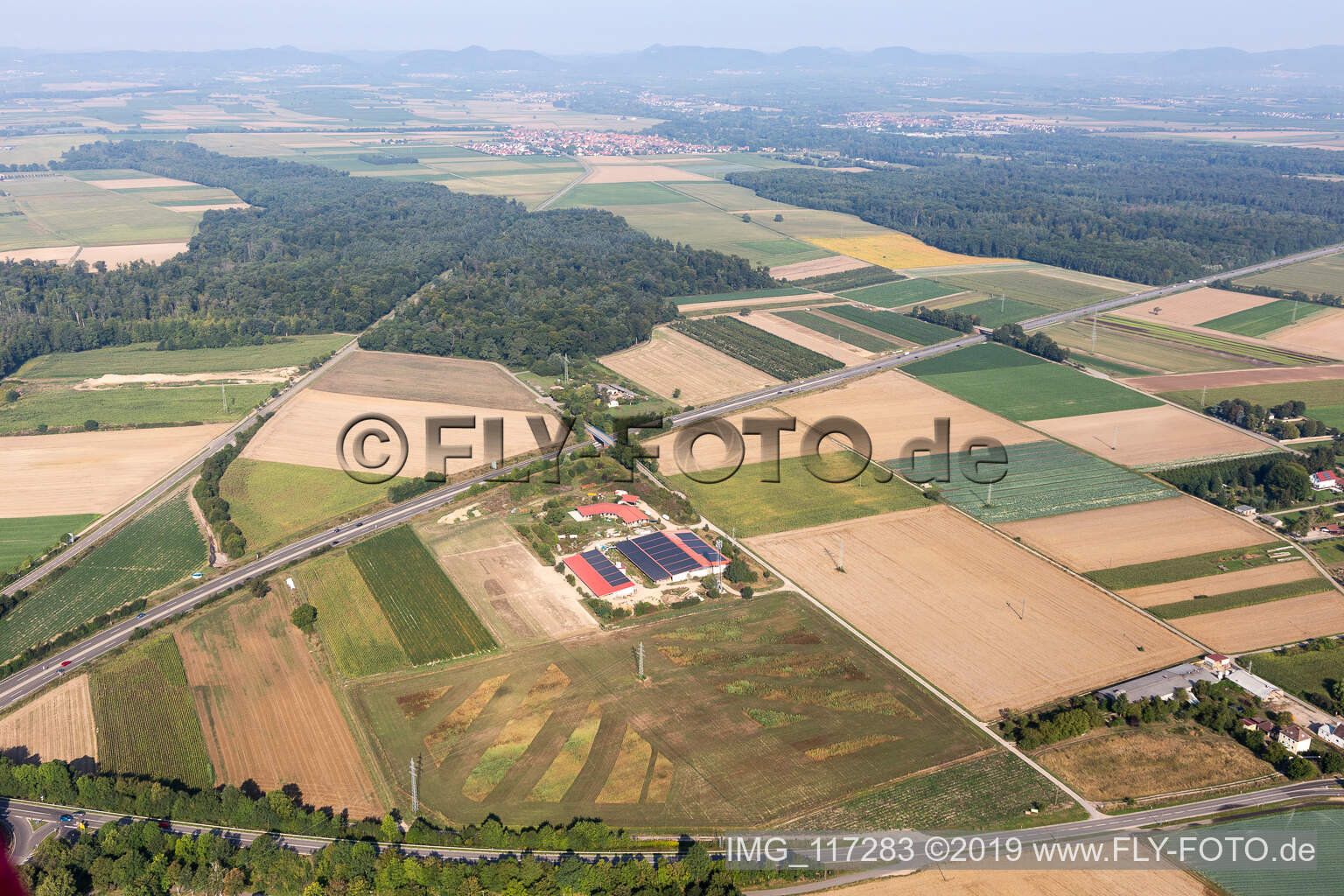 Vue aérienne de Ferme d'œufs à Erlenbach bei Kandel dans le département Rhénanie-Palatinat, Allemagne