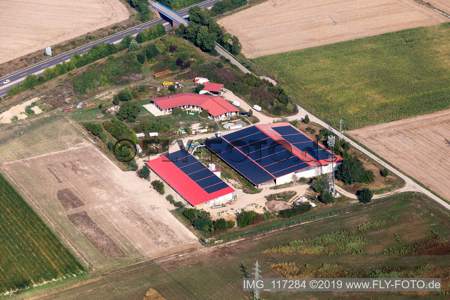 Photographie aérienne de Ferme d'œufs à Erlenbach bei Kandel dans le département Rhénanie-Palatinat, Allemagne