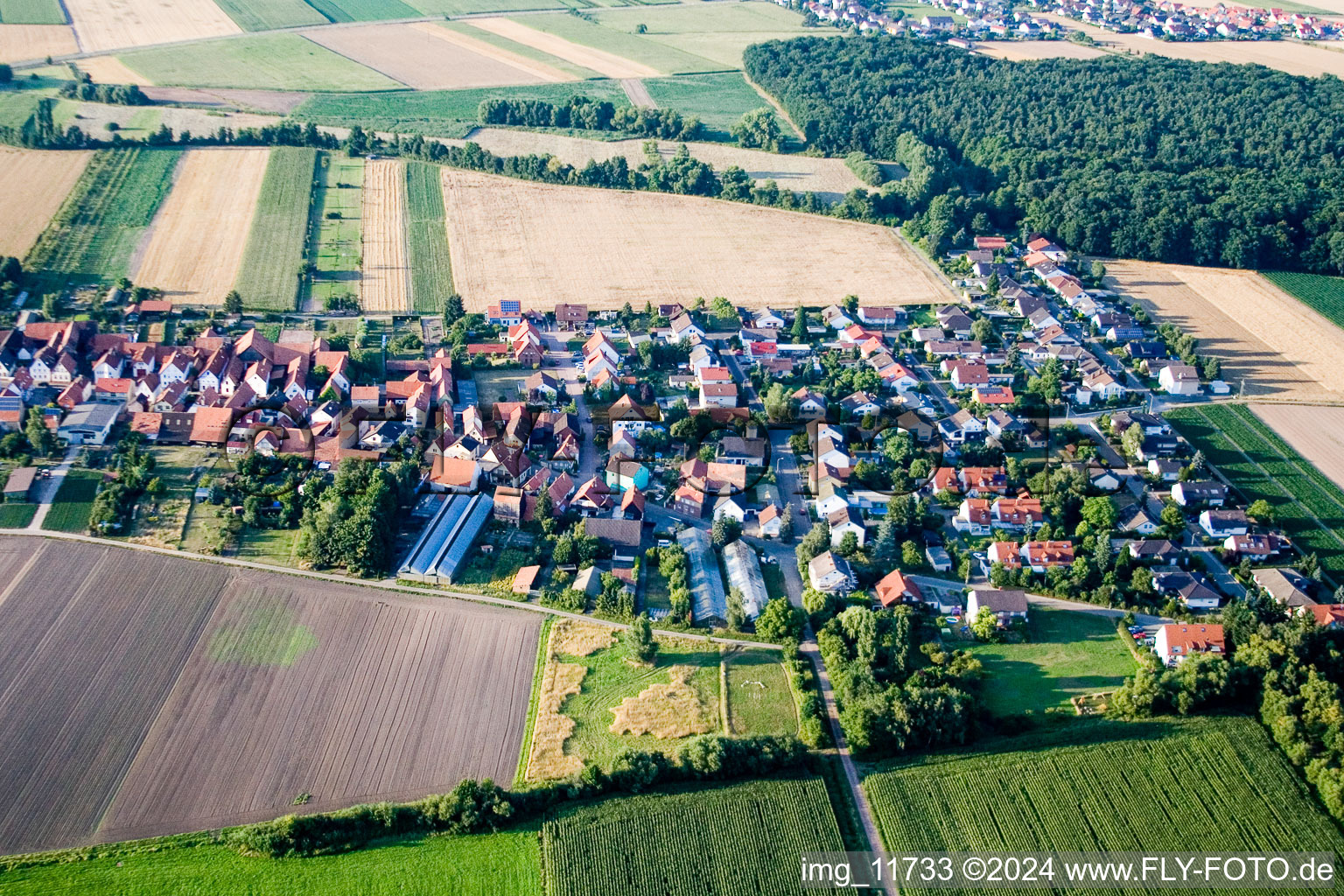 Vue aérienne de Du sud à Erlenbach bei Kandel dans le département Rhénanie-Palatinat, Allemagne