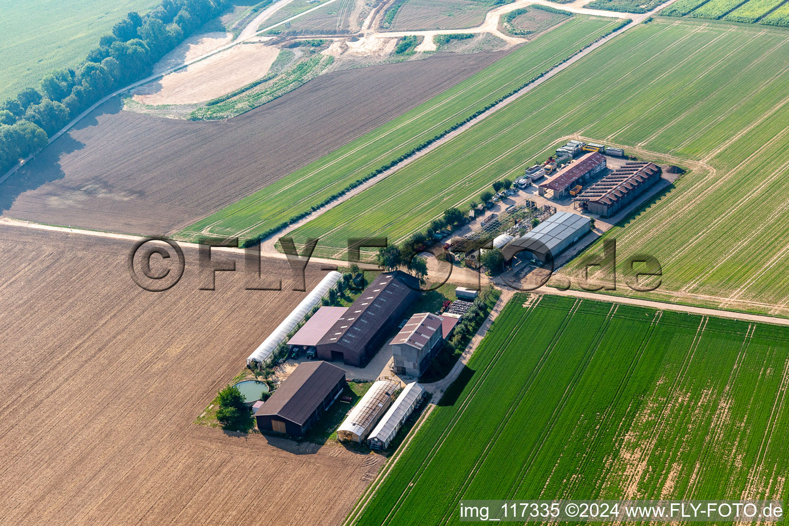 Vue aérienne de Aussiedlerhof à Kandel dans le département Rhénanie-Palatinat, Allemagne