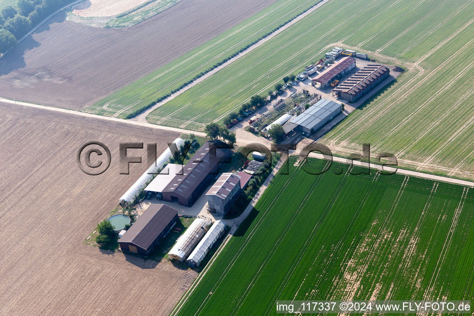 Photographie aérienne de Aussiedlerhof à Kandel dans le département Rhénanie-Palatinat, Allemagne