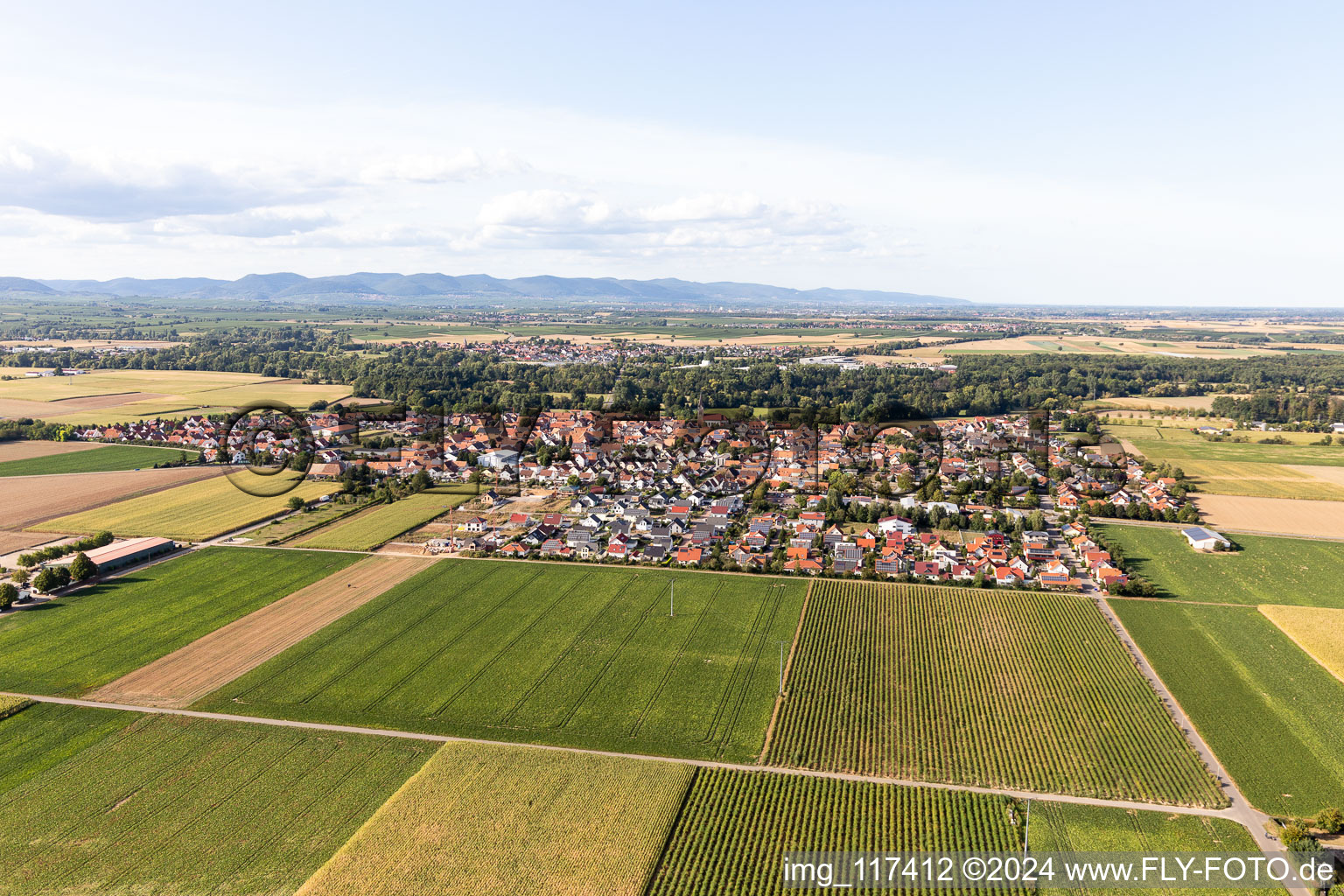 Vue oblique de Steinweiler dans le département Rhénanie-Palatinat, Allemagne