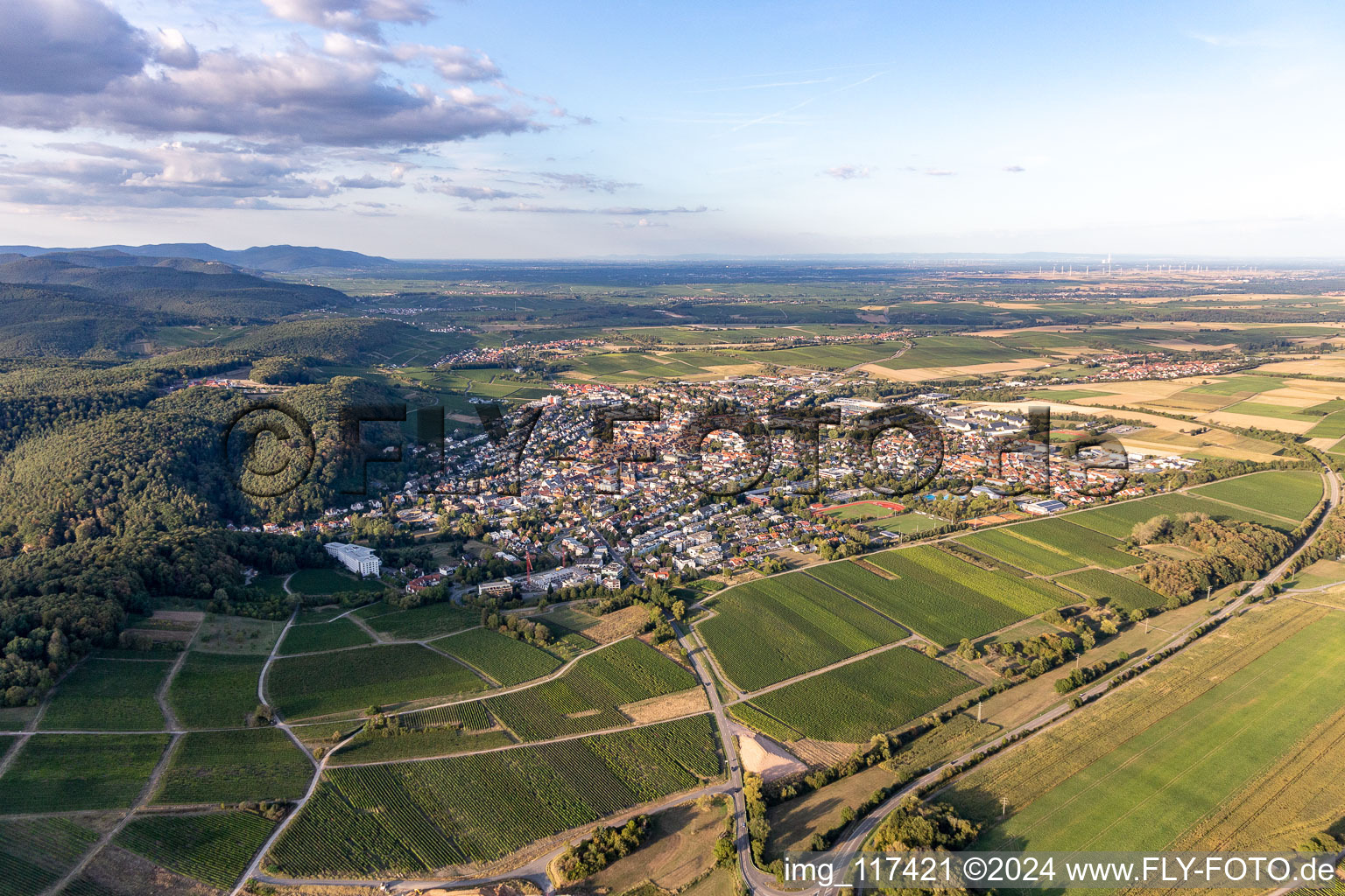 Photographie aérienne de Bad Bergzabern dans le département Rhénanie-Palatinat, Allemagne