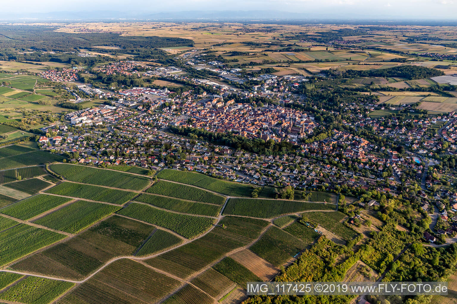 Wissembourg dans le département Bas Rhin, France vue d'en haut