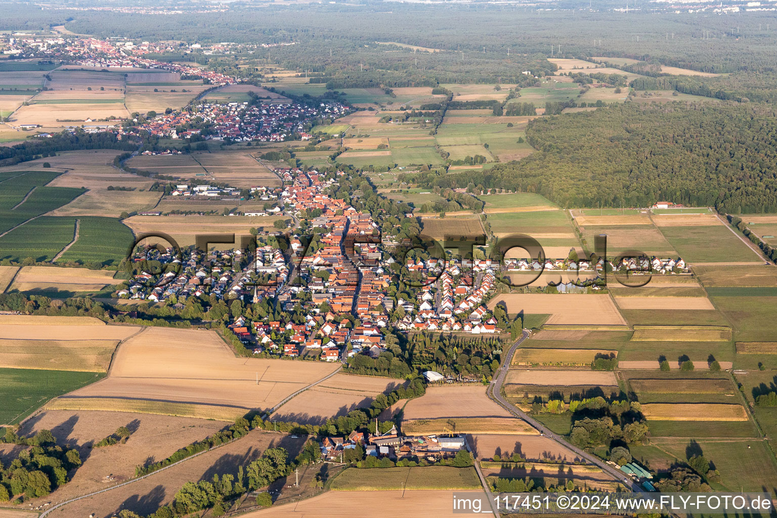 Freckenfeld dans le département Rhénanie-Palatinat, Allemagne du point de vue du drone