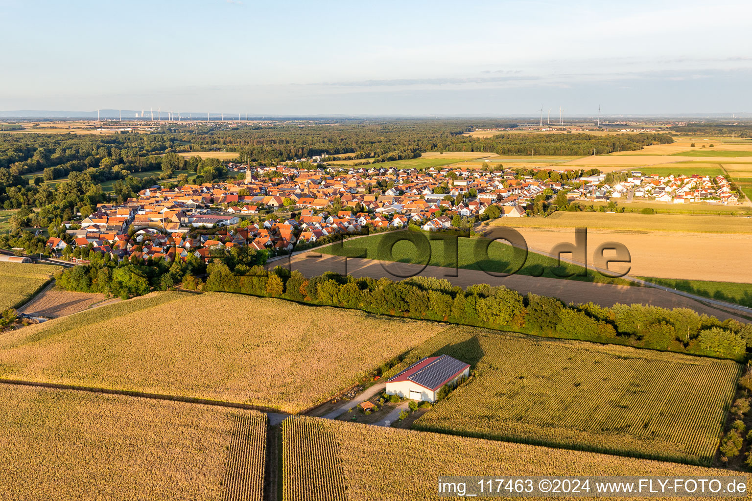 Steinweiler dans le département Rhénanie-Palatinat, Allemagne d'en haut