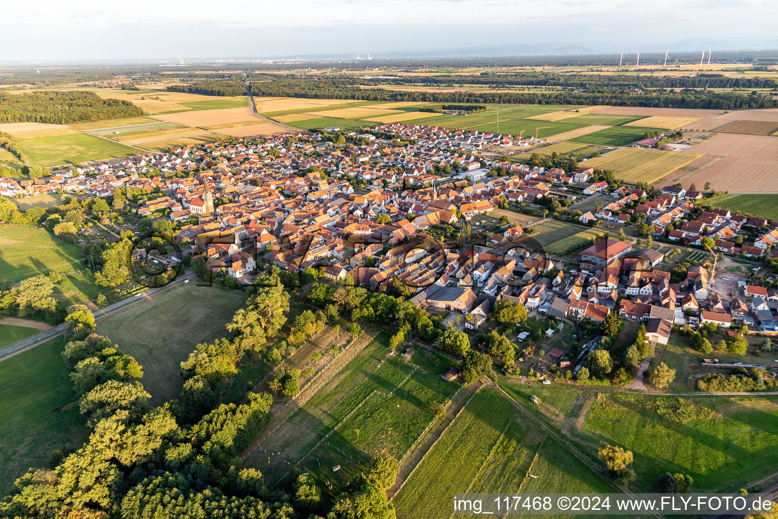 Steinweiler dans le département Rhénanie-Palatinat, Allemagne vue d'en haut