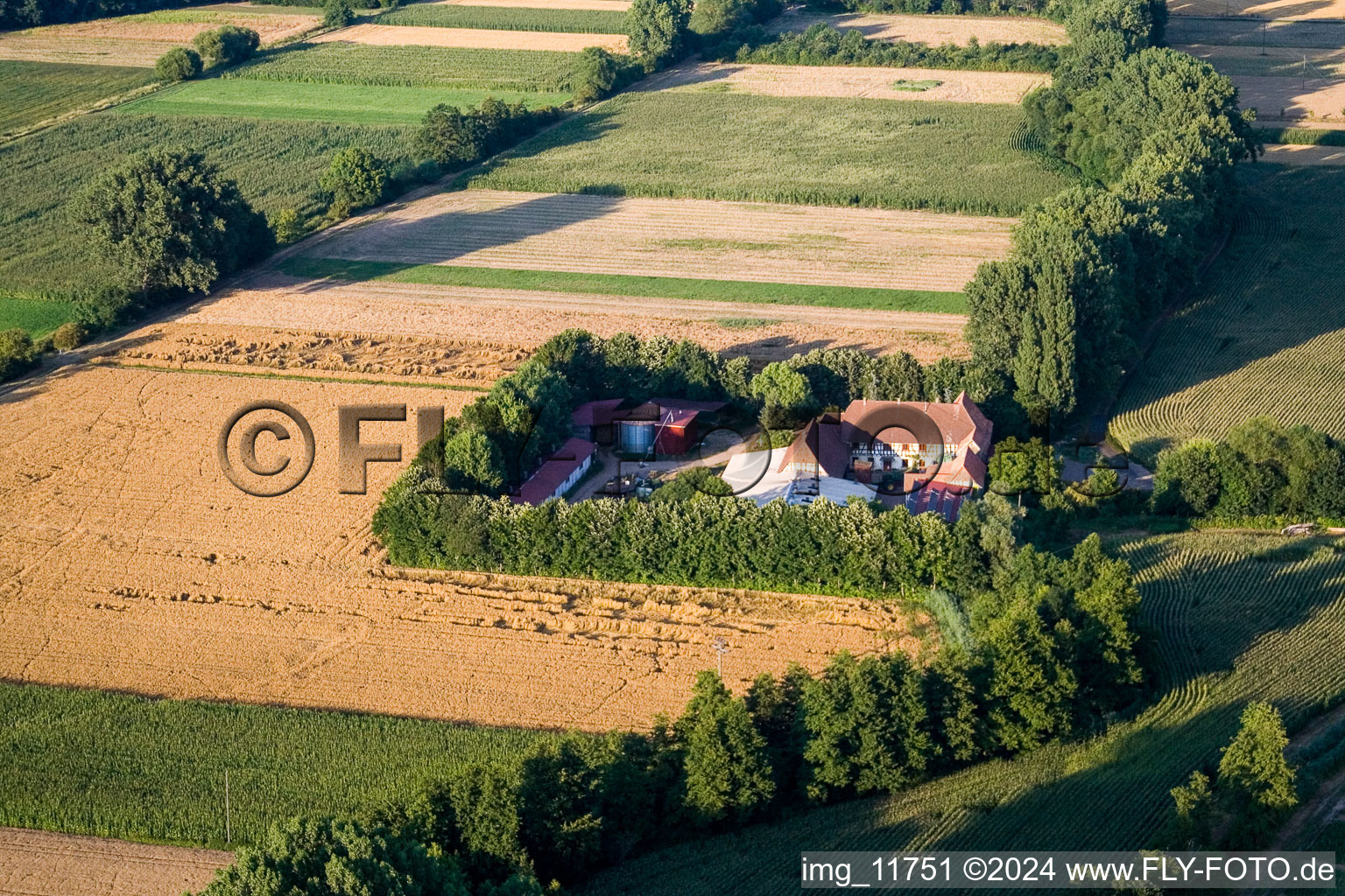 Vue aérienne de À Erlenbach, Leistenmühle à Kandel dans le département Rhénanie-Palatinat, Allemagne