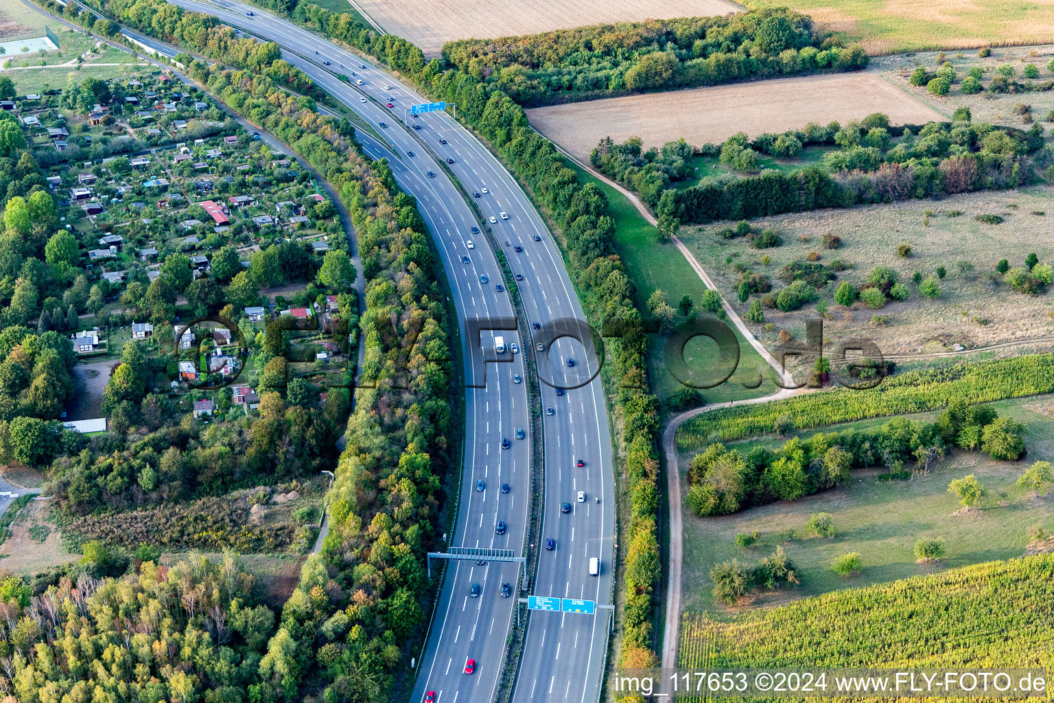 Vue aérienne de Autoroute A661 à KGV Cronberger eV Annexe 12 à le quartier Preungesheim in Frankfurt am Main dans le département Hesse, Allemagne