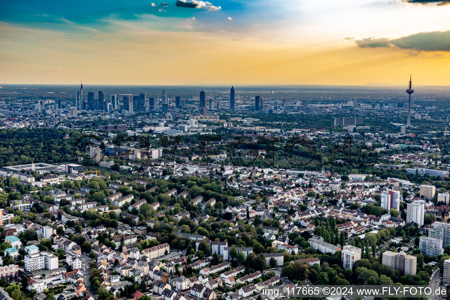 Vue aérienne de Périphéries et zones résidentielles périphériques à le quartier Berkersheim in Frankfurt am Main dans le département Hesse, Allemagne