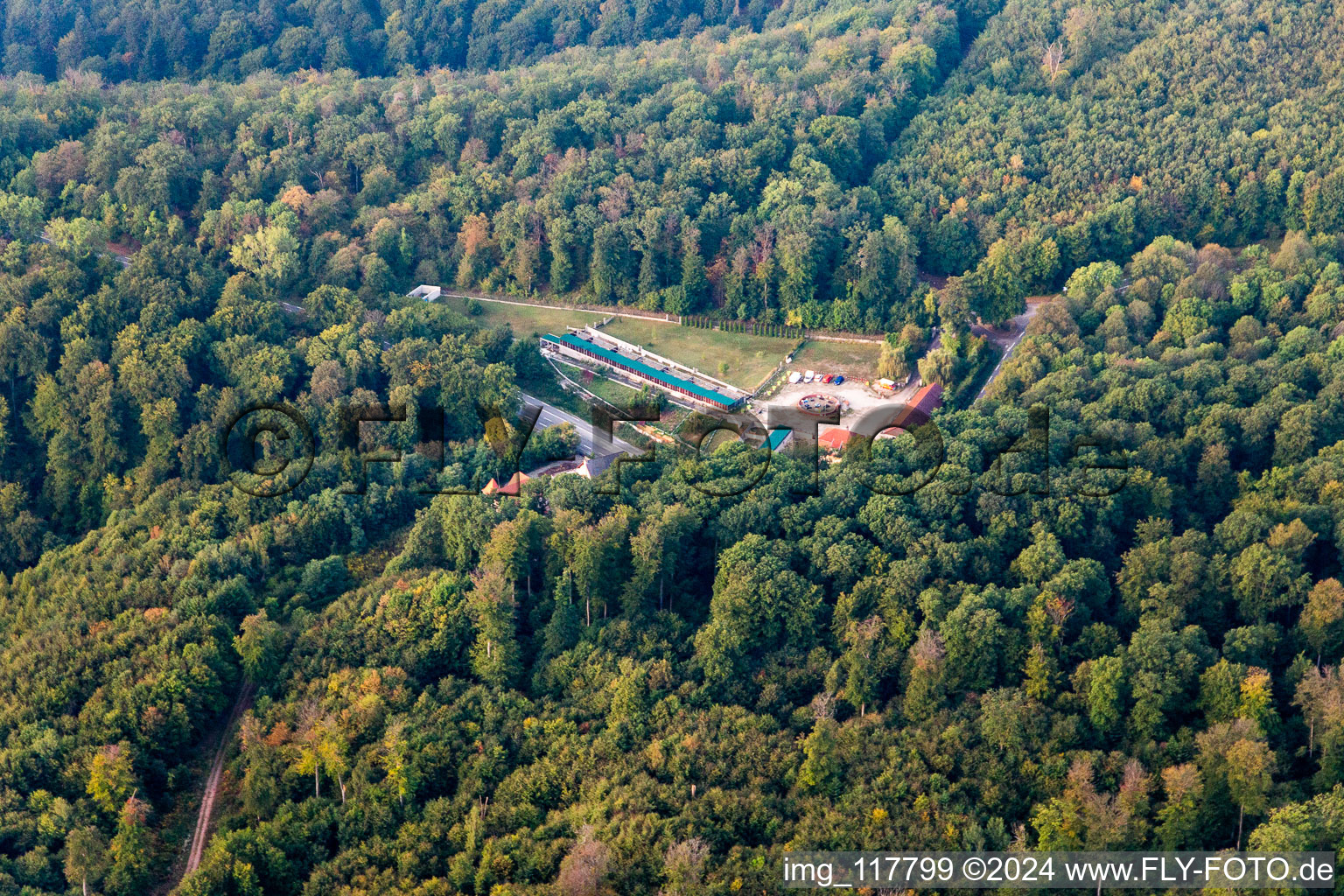 Saverne dans le département Bas Rhin, France vue d'en haut