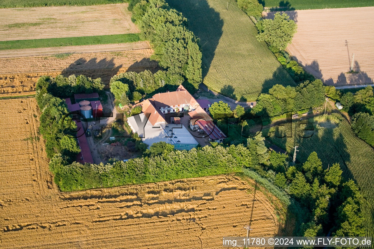 Photographie aérienne de À Erlenbach, Leistenmühle à Kandel dans le département Rhénanie-Palatinat, Allemagne