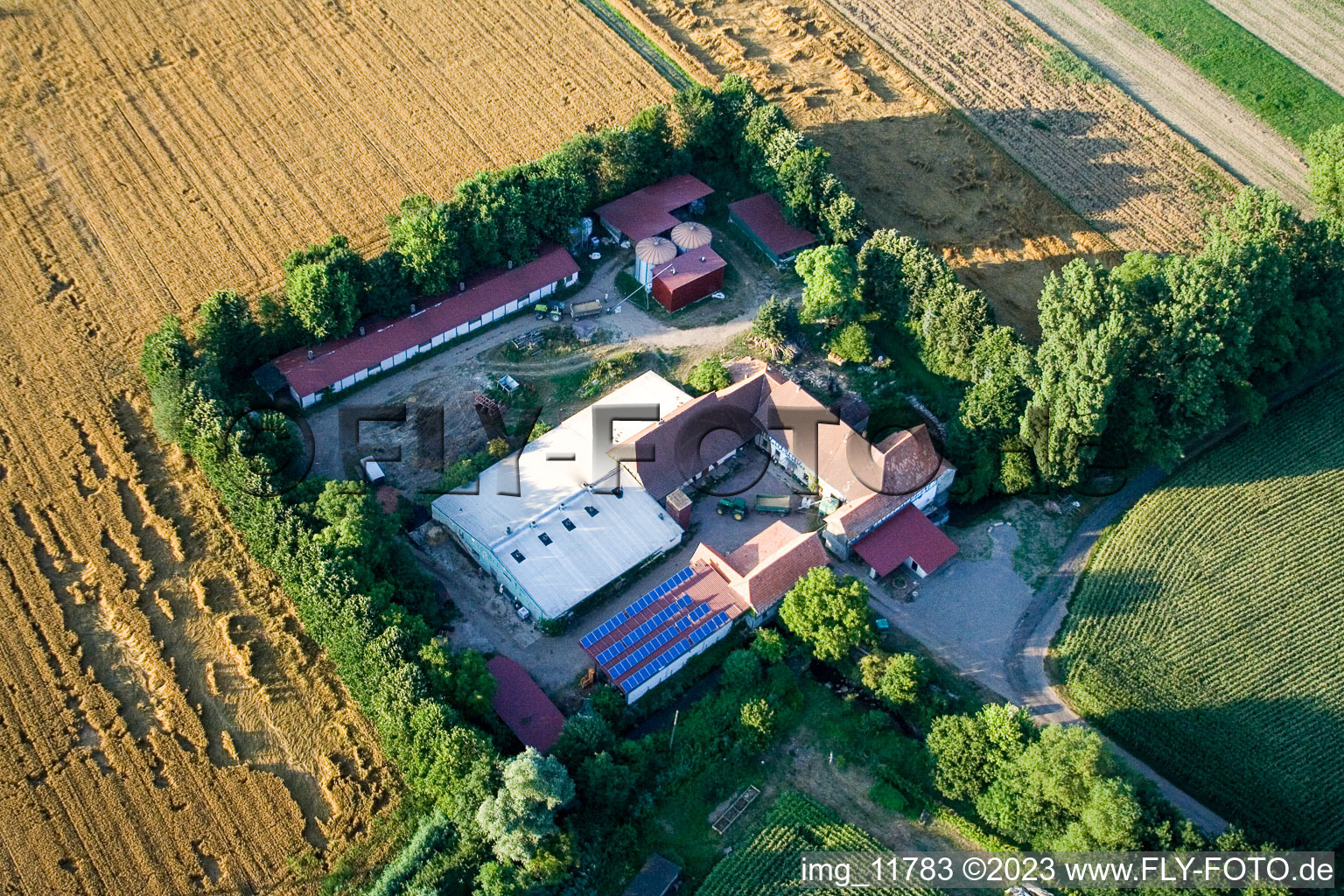 À Erlenbach, Leistenmühle à Kandel dans le département Rhénanie-Palatinat, Allemagne hors des airs