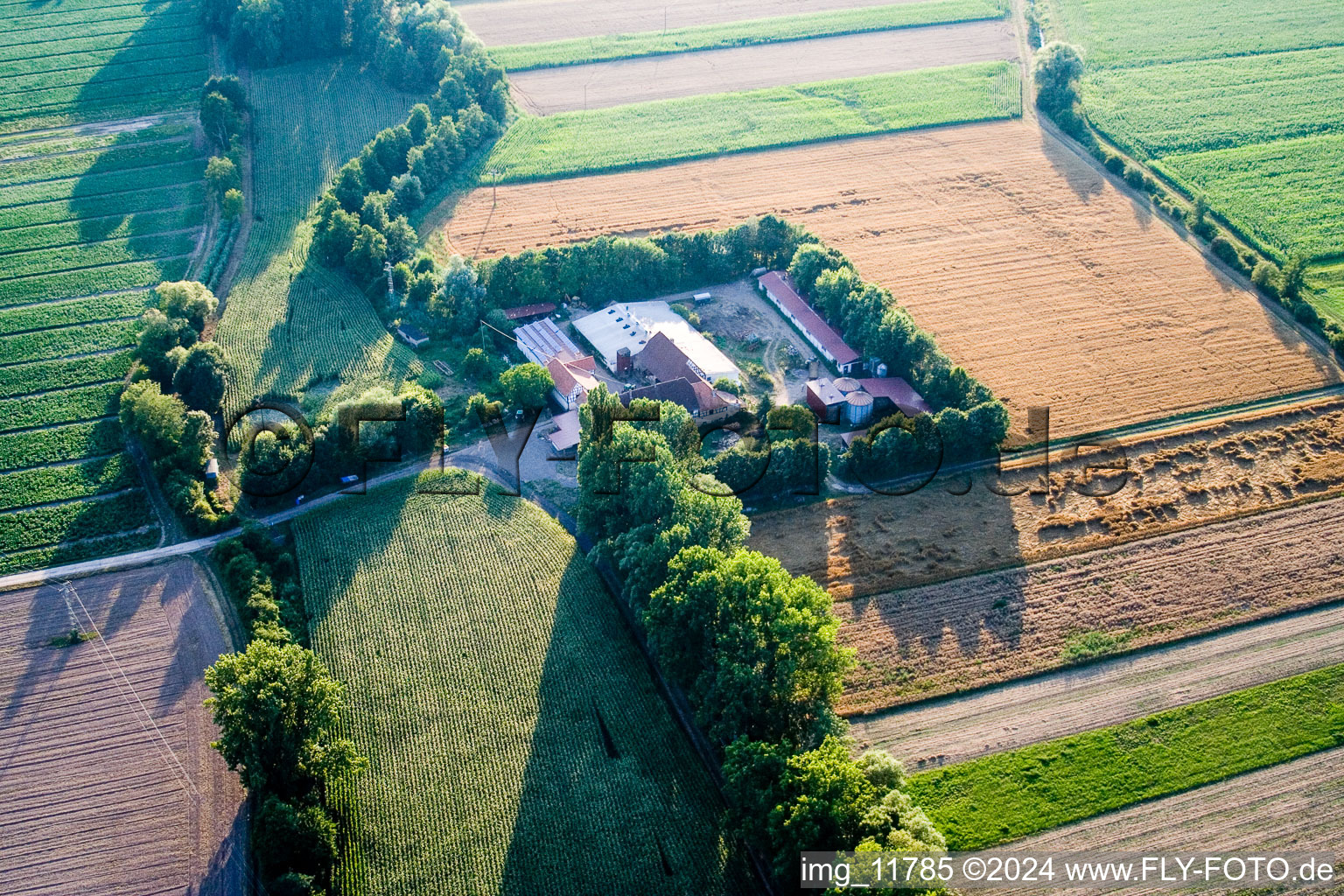 Vue aérienne de À Erlenbach, Leistenmühle à Kandel dans le département Rhénanie-Palatinat, Allemagne