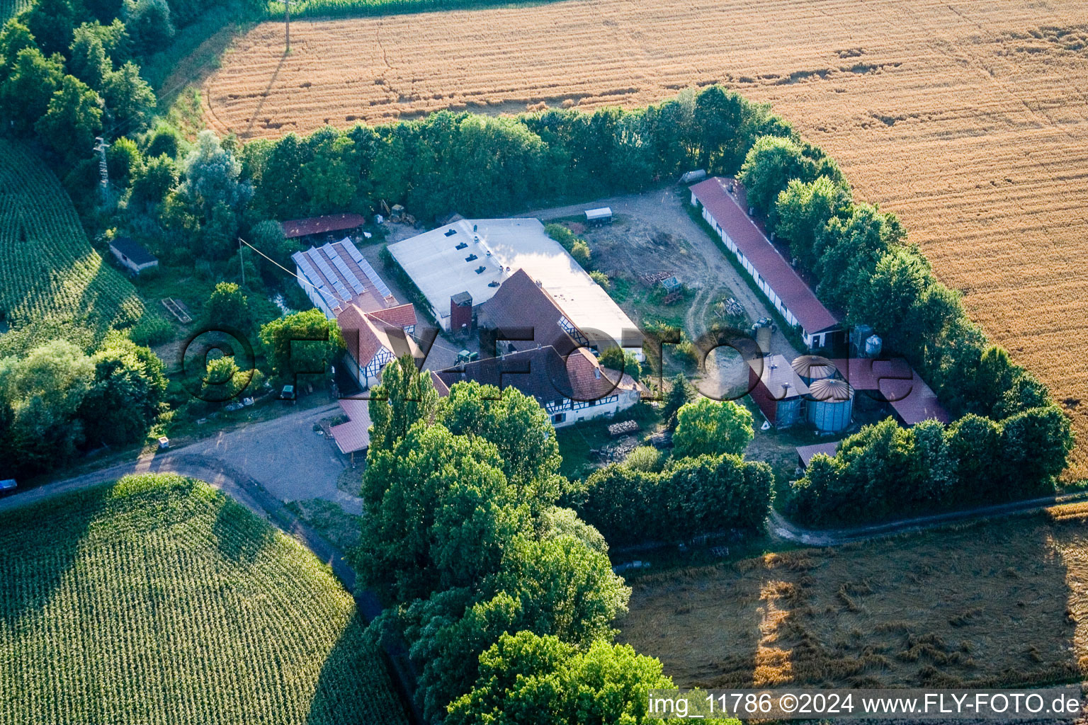 Vue aérienne de À Erlenbach, Leistenmühle à Kandel dans le département Rhénanie-Palatinat, Allemagne