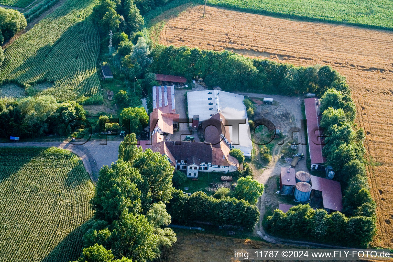 Photographie aérienne de À Erlenbach, Leistenmühle à Kandel dans le département Rhénanie-Palatinat, Allemagne