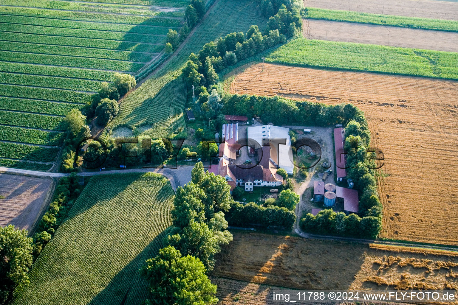 Vue oblique de À Erlenbach, Leistenmühle à Kandel dans le département Rhénanie-Palatinat, Allemagne