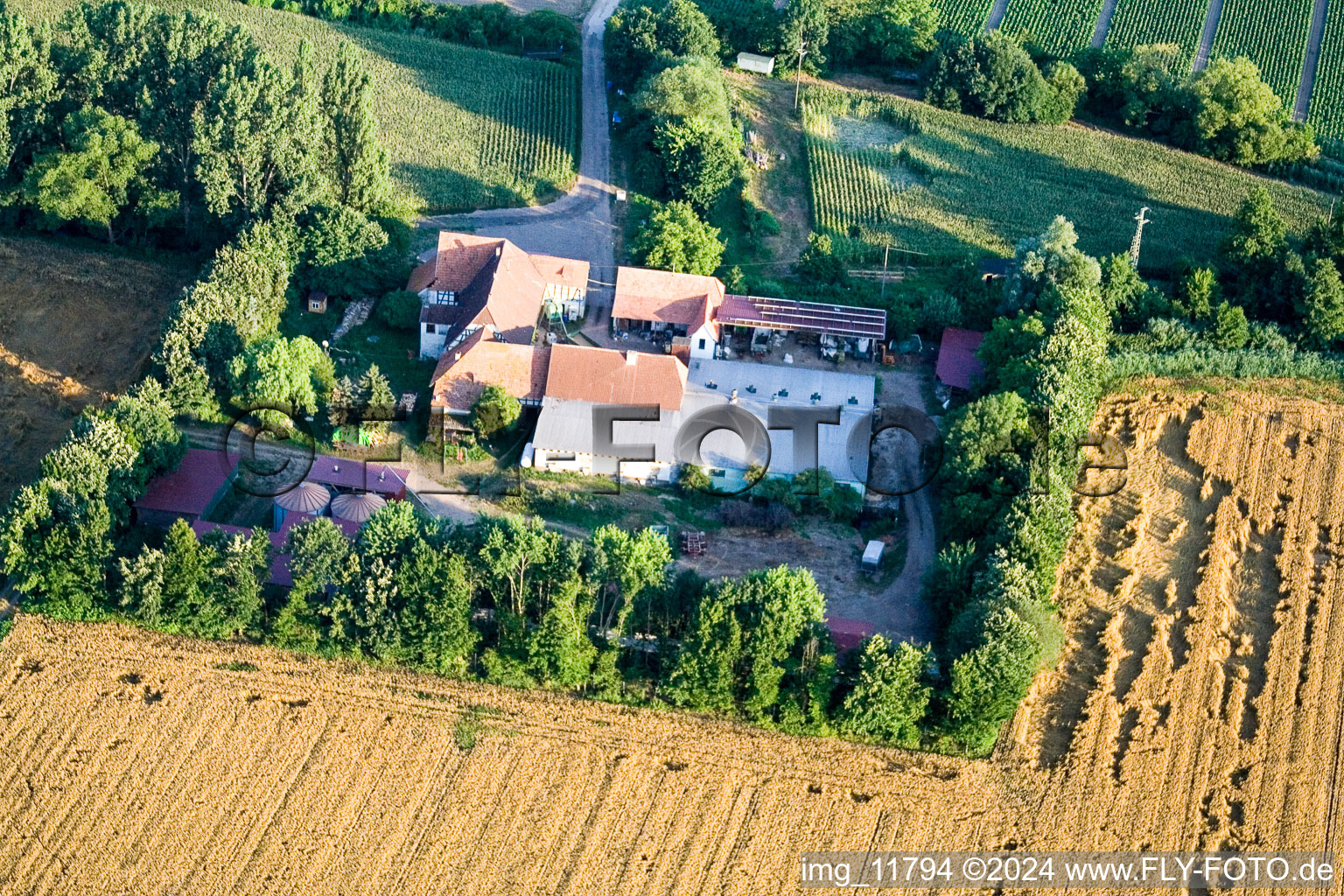 À Erlenbach, Leistenmühle à Kandel dans le département Rhénanie-Palatinat, Allemagne depuis l'avion