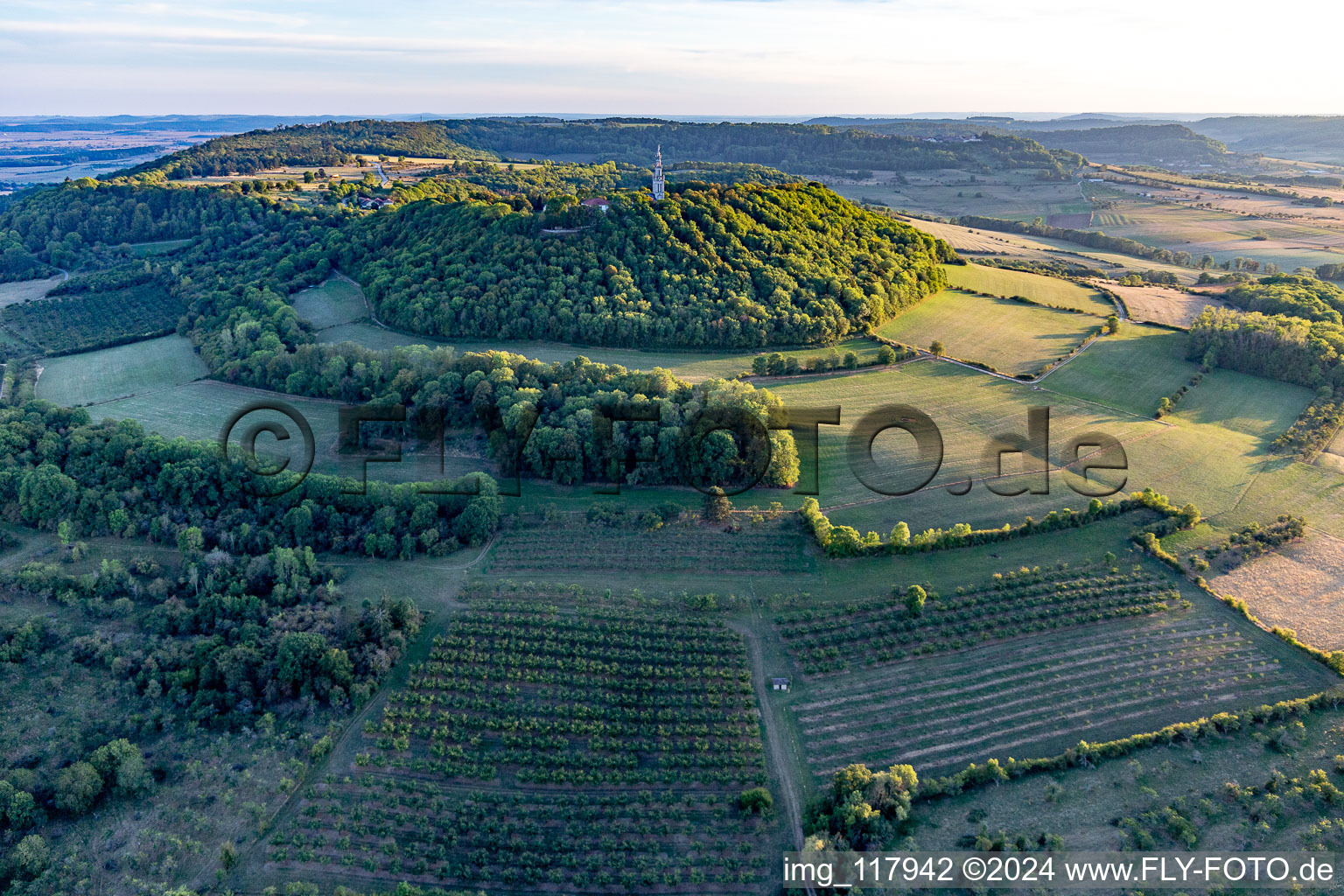 Vue aérienne de Bâtiment de l'église Basilique Notre-Dame de Sion sur la colline de pèlerinage du Site de la Colline de Sion-Vaudémont à Saxon-Sion dans le département Meurthe et Moselle, France