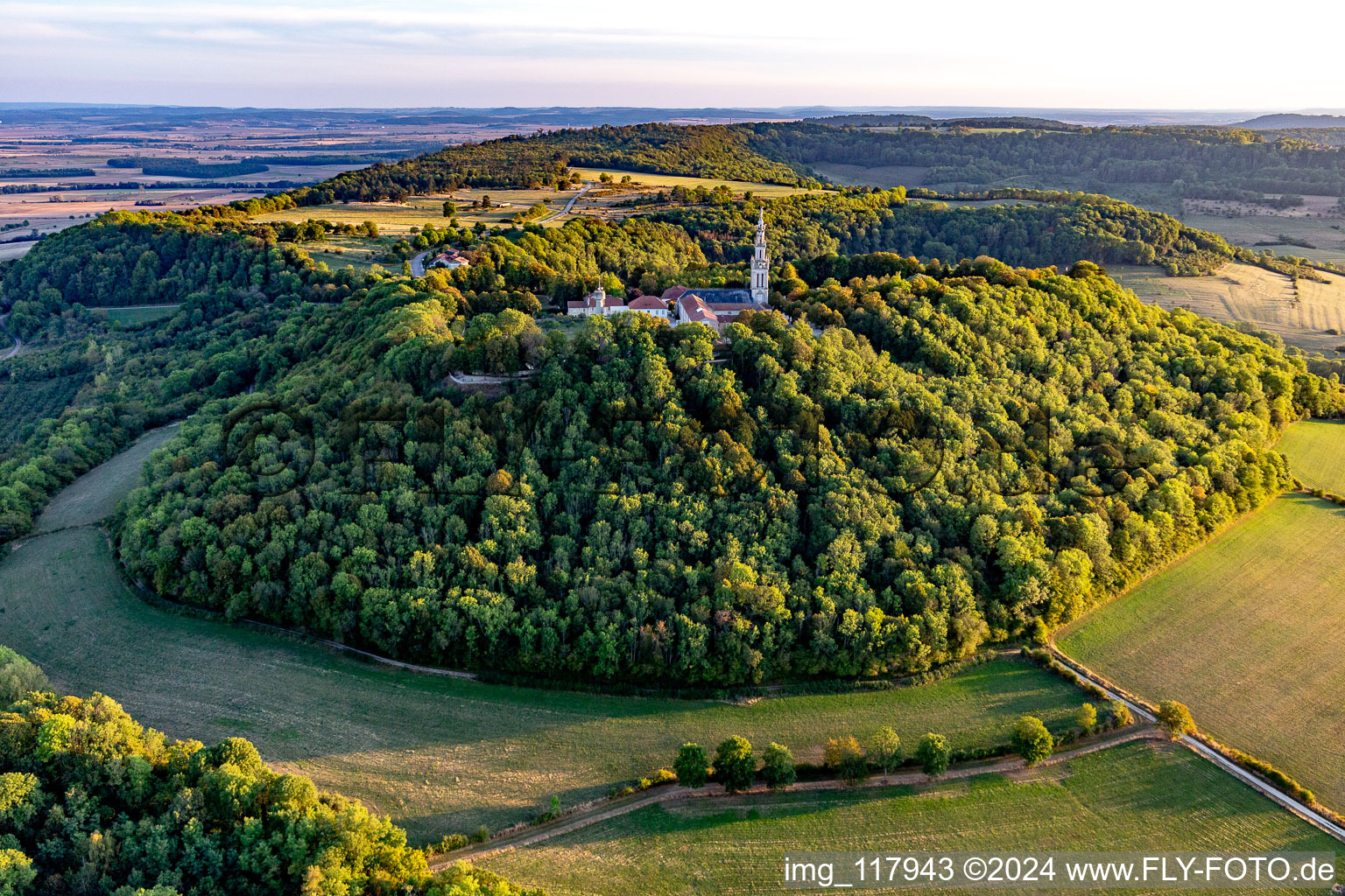 Vue aérienne de Clocher de l'église et toit de la tour de la Basilique Notre-Dame de Sion sur une colline boisée à Saxon-Sion dans le département Meurthe et Moselle, France