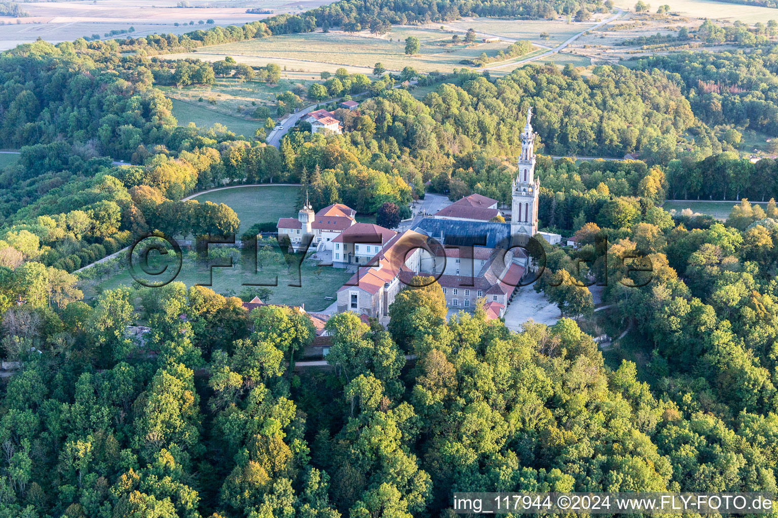 Basilique de Sion à Saxon-Sion dans le département Meurthe et Moselle, France d'en haut