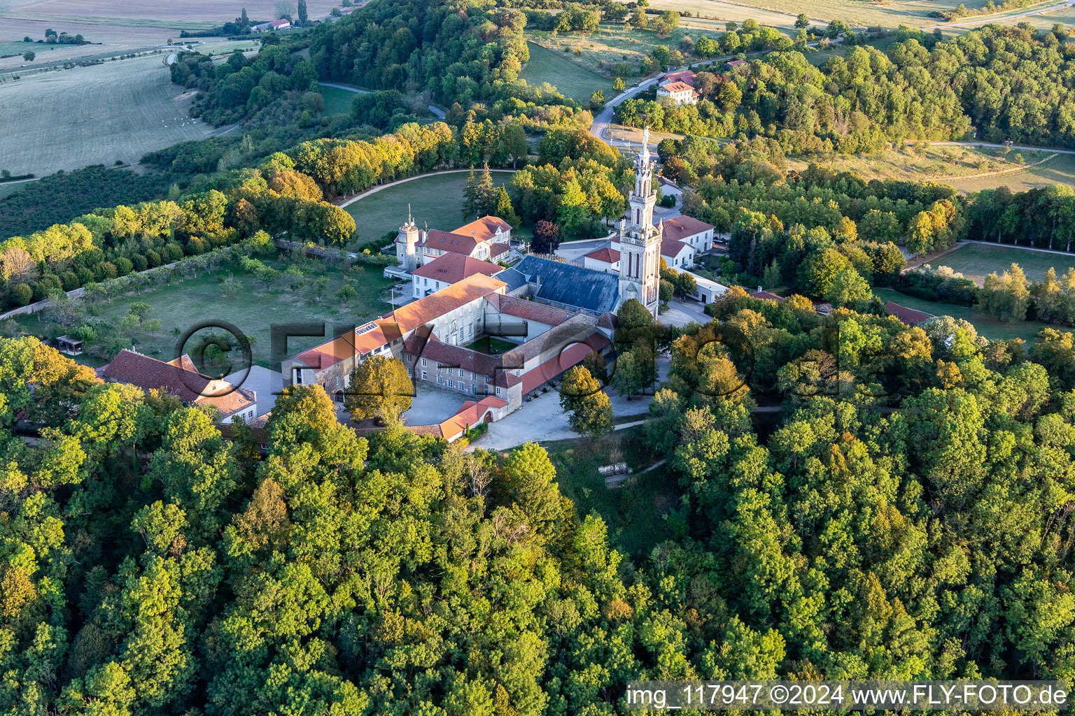 Basilique de Sion à Saxon-Sion dans le département Meurthe et Moselle, France depuis l'avion