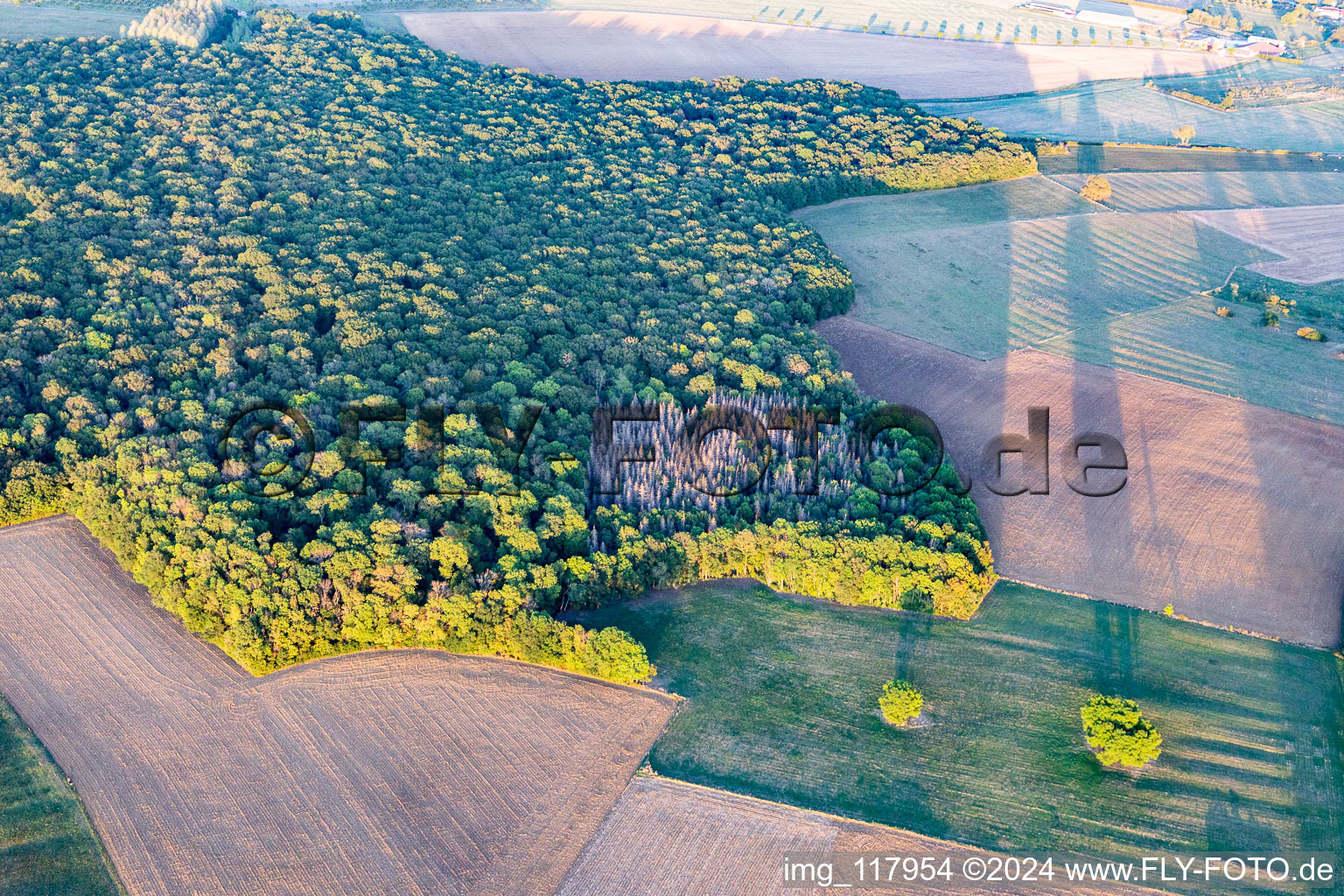 Vue aérienne de Forêts à Chaouilley dans le département Meurthe et Moselle, France