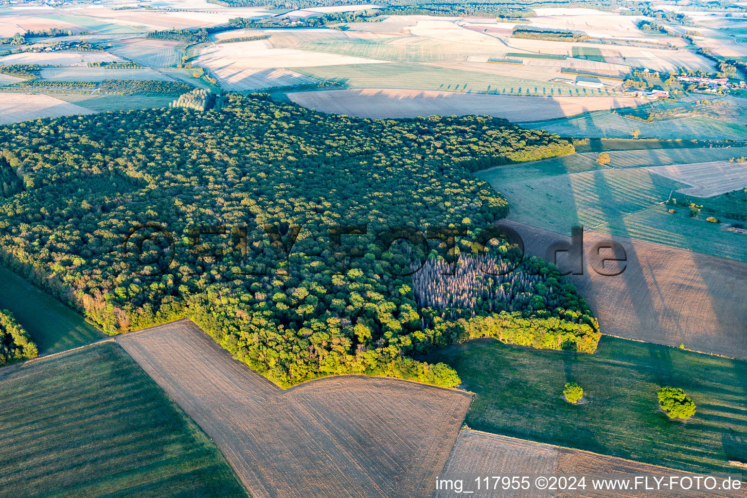 Vue aérienne de Forêts à Chaouilley dans le département Meurthe et Moselle, France