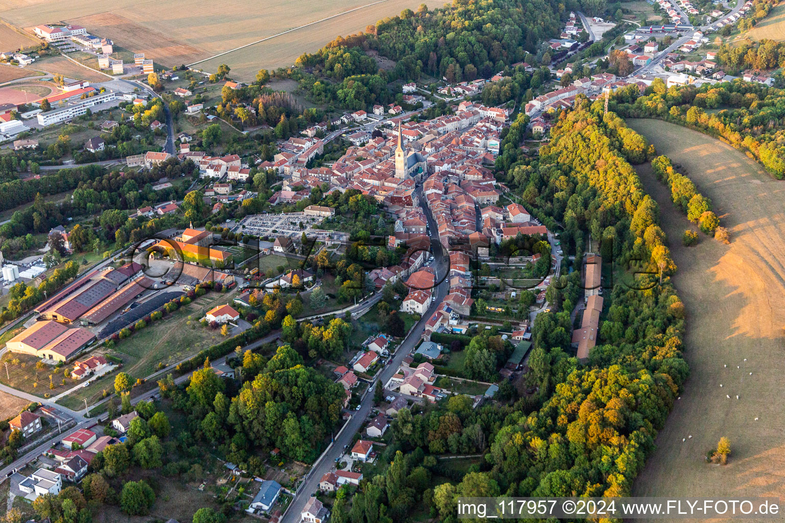 Vue aérienne de Vézelise dans le département Meurthe et Moselle, France