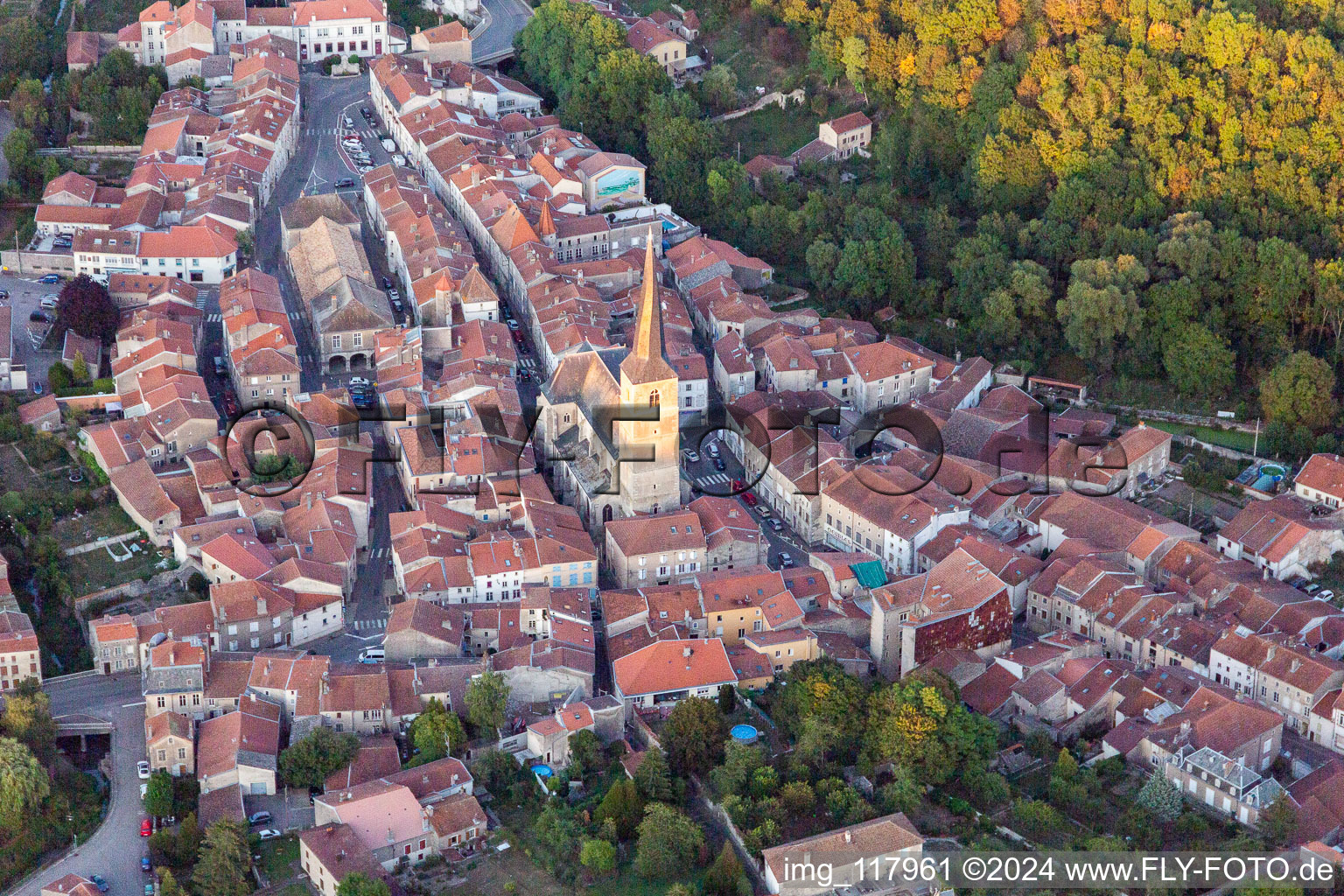 Photographie aérienne de Vézelise dans le département Meurthe et Moselle, France