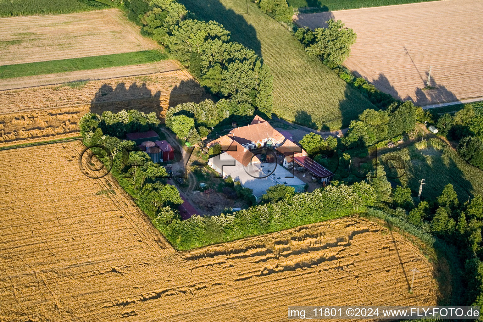 À Erlenbach, Leistenmühle à Kandel dans le département Rhénanie-Palatinat, Allemagne depuis l'avion