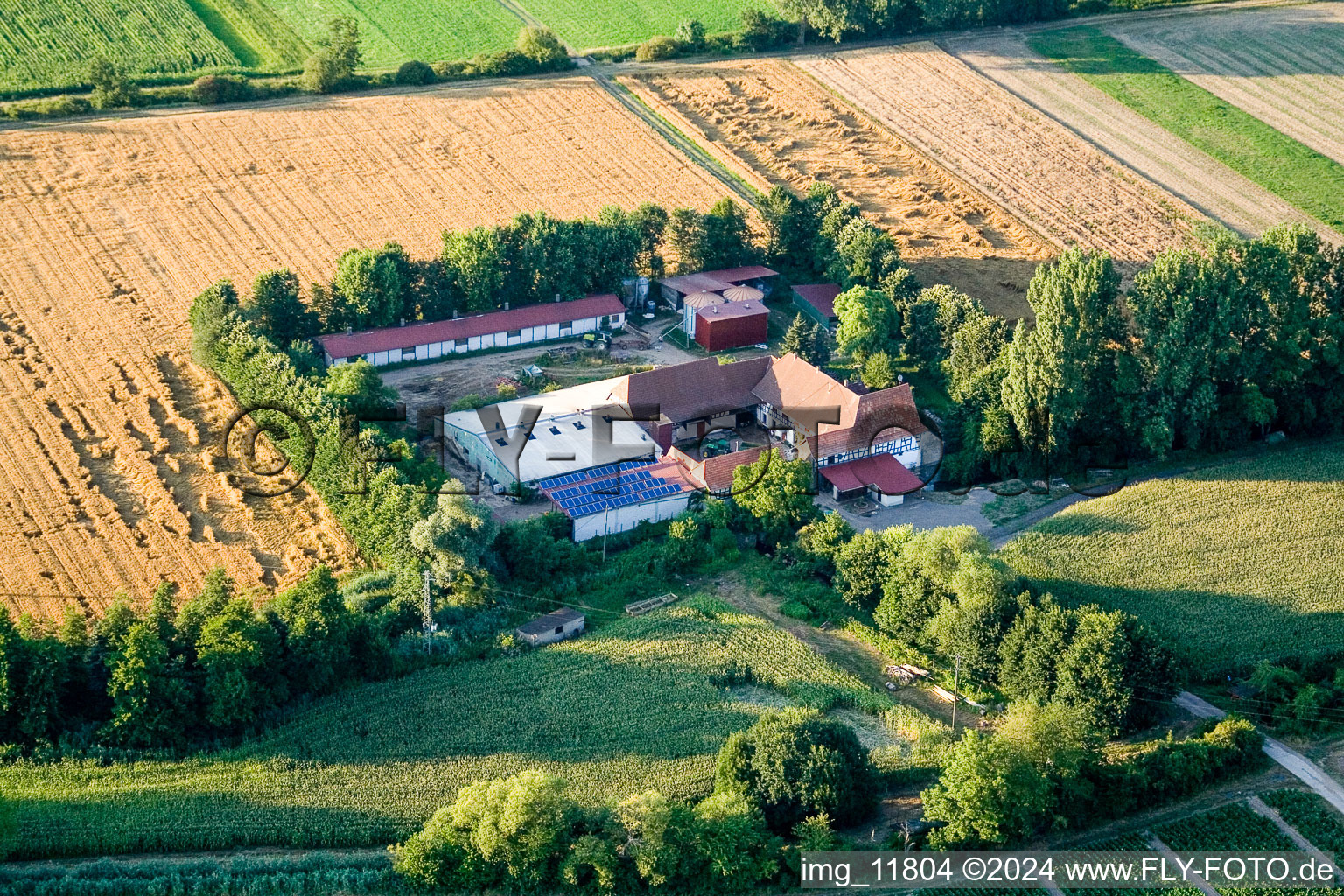 À Erlenbach, Leistenmühle à Kandel dans le département Rhénanie-Palatinat, Allemagne vue du ciel