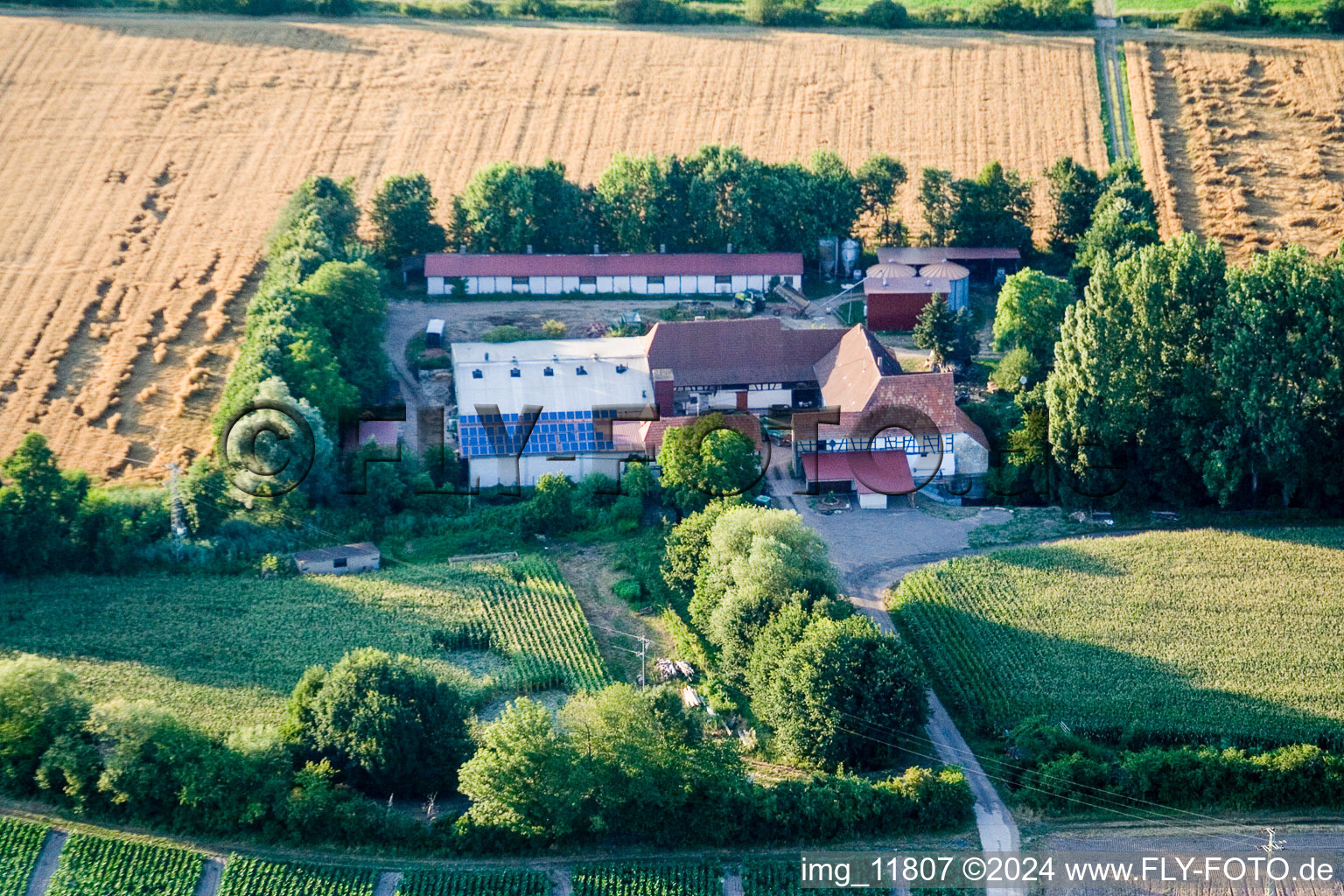 Image drone de À Erlenbach, Leistenmühle à Kandel dans le département Rhénanie-Palatinat, Allemagne