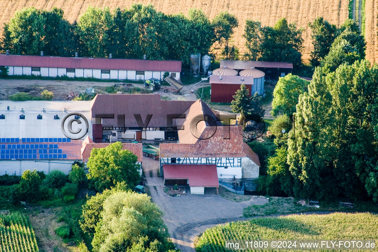 À Erlenbach, Leistenmühle à Kandel dans le département Rhénanie-Palatinat, Allemagne d'un drone