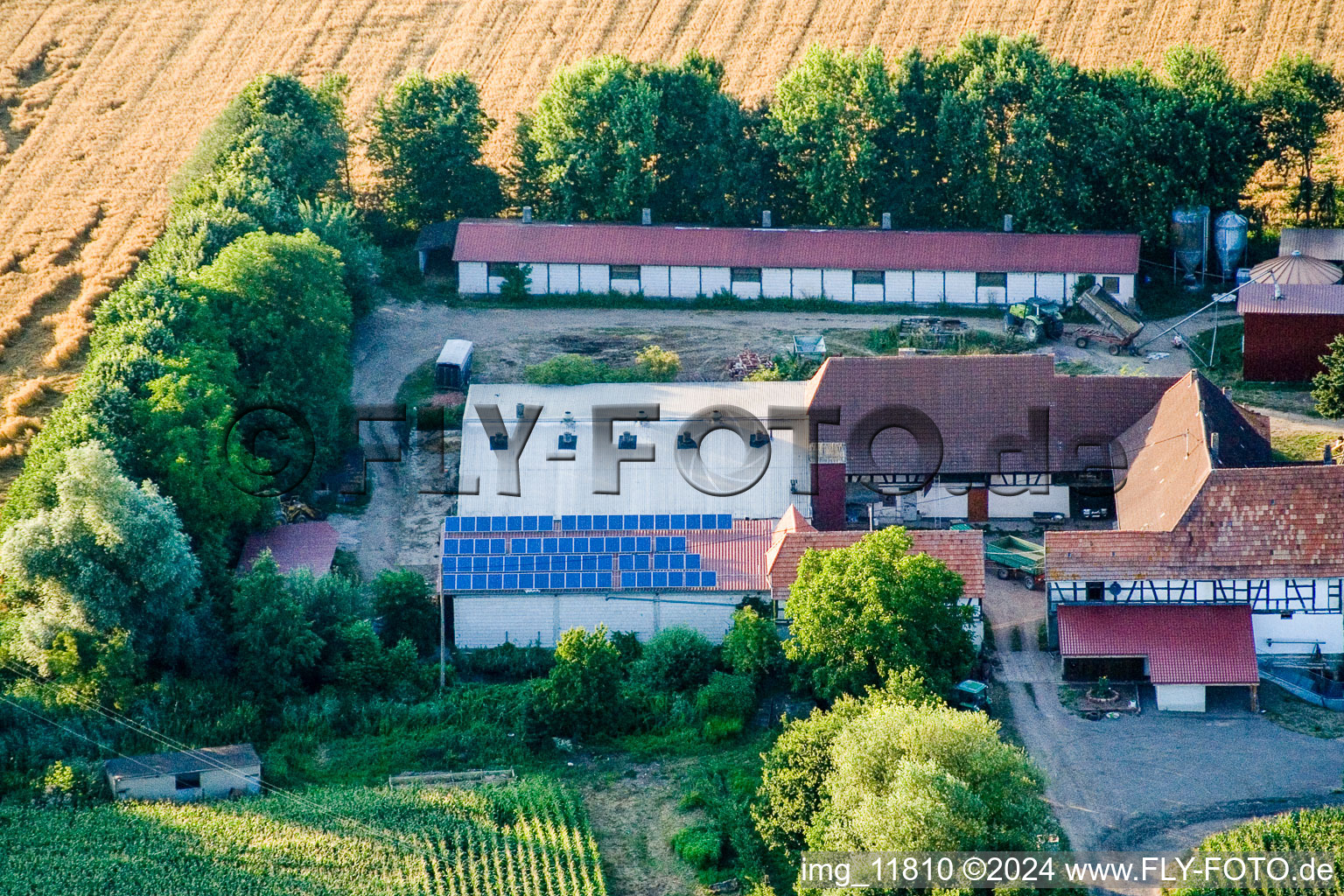 À Erlenbach, Leistenmühle à Kandel dans le département Rhénanie-Palatinat, Allemagne vu d'un drone