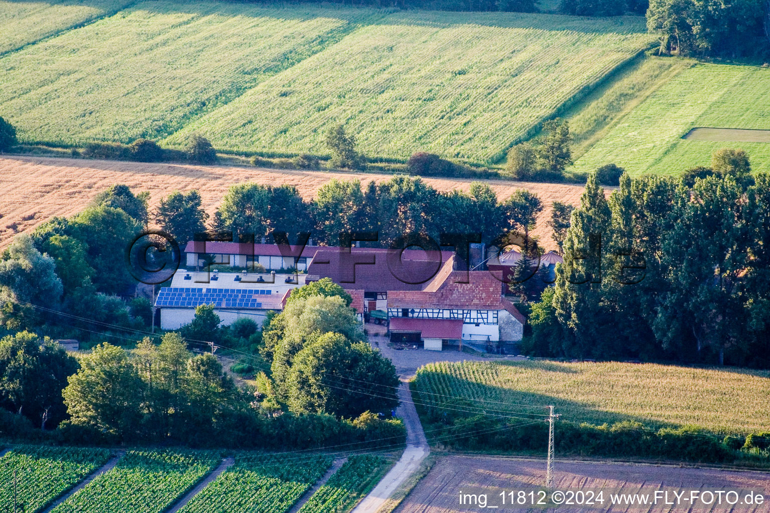 Vue aérienne de À Erlenbach, Leistenmühle à Kandel dans le département Rhénanie-Palatinat, Allemagne