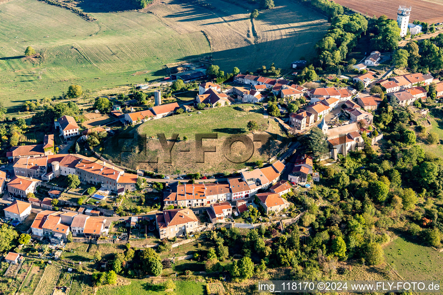 Photographie aérienne de Amance dans le département Meurthe et Moselle, France