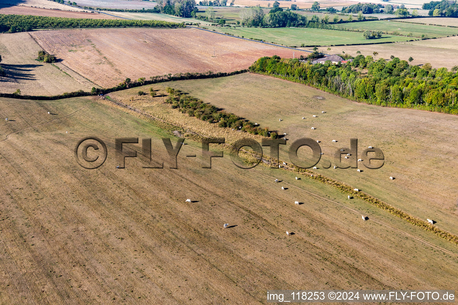 Photographie aérienne de Vigneulles dans le département Meurthe et Moselle, France