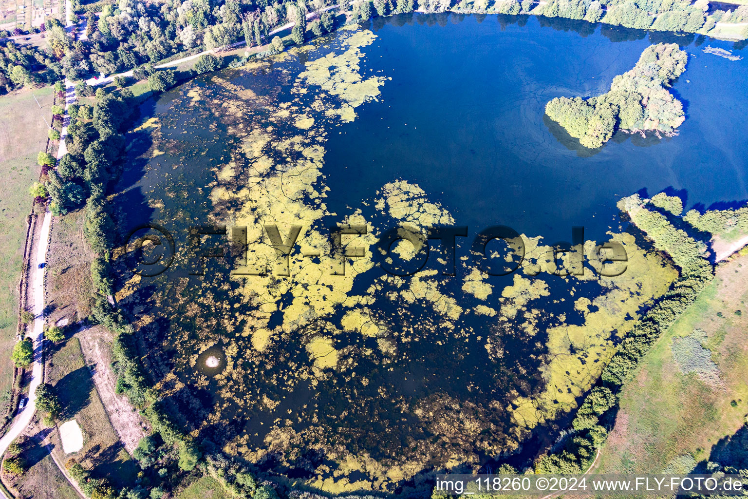 Vue aérienne de Secteurs riverains du secteur lac de l'Étang du Breuil en zone forestière à Flavigny-sur-Moselle dans le département Meurthe et Moselle, France