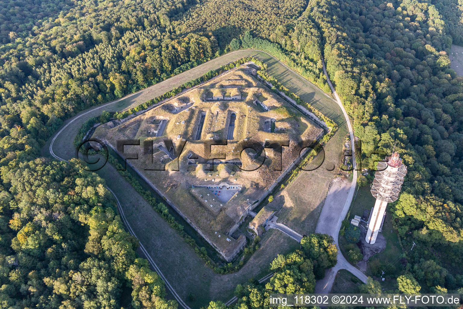 Photographie aérienne de Fragments de la fortification de la citadelle "Fort de Bourlémont" sur l'Allée de Rivières à Mont-les-Neufchateau à Mont-lès-Neufchâteau dans le département Vosges, France