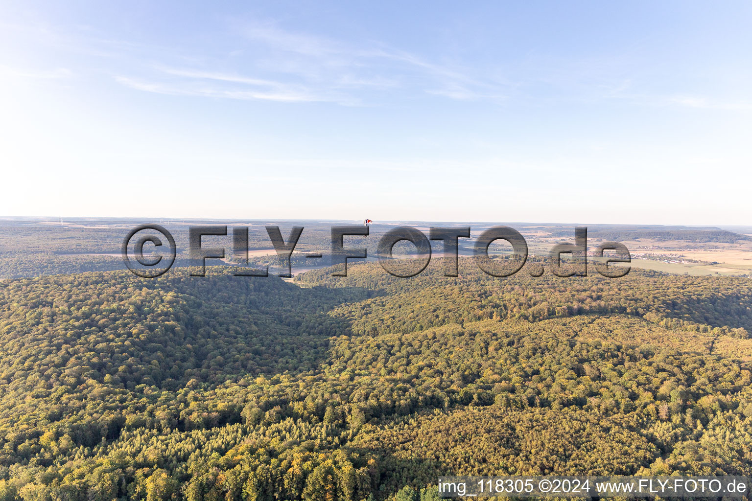 Photographie aérienne de Mont-lès-Neufchâteau dans le département Vosges, France